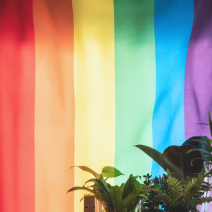 무지개 깃발(큰 깃발, 망토)