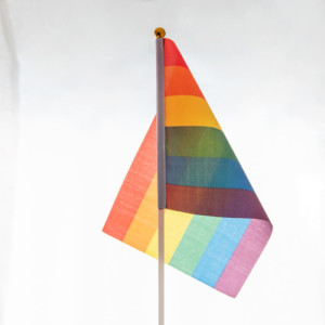 무지개 깃발(손깃발)